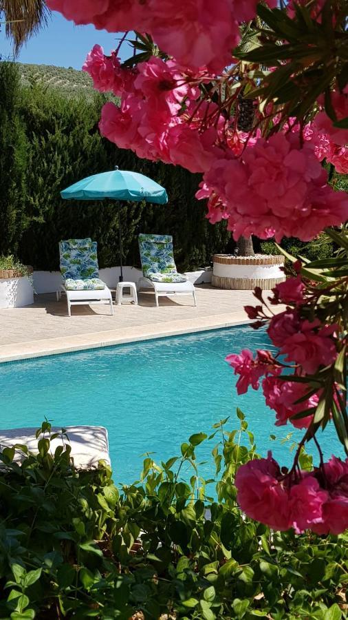 Casa Olivar B&B Tocon Екстер'єр фото